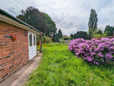 Picture 28